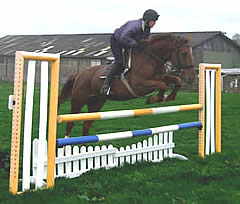 Horse Riding Lessons Somerset